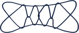 死んだカンガルー