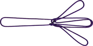 エミューの足跡