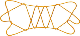 トウモロコシ畑の鳥