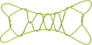 ５つの目・６つの目