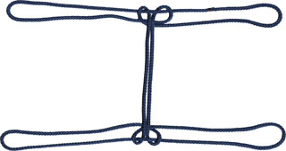 飛んでいるアビ