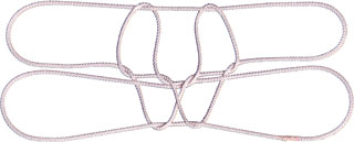 礁湖の２匹の魚 I