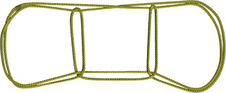 ココナツを採りに登った子供たち