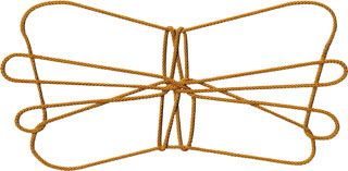 ナイジェリアの 毛虫