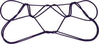 ノコギリガザミ