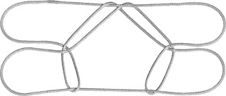 ダイシャクシギの脚 I