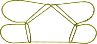 ダイシャクシギの脚 II