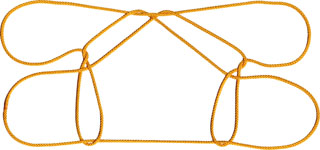 ダイシャクシギの脚 III