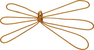 パプアニューギニアの 蝿