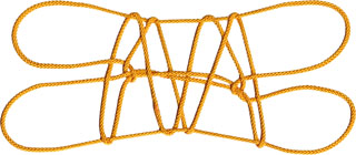 パンパスジカの腹