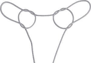 ツカツクリの卵