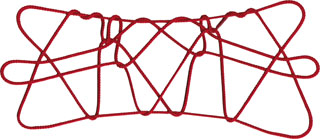 パプアニューギニアの りす