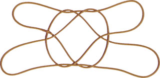 アルゼンチンの 星