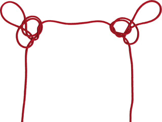 ２羽の雷鳥が飛ぶ