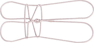 イタイの葉の２つの星