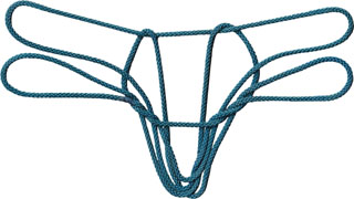 ハタオリドリの巣